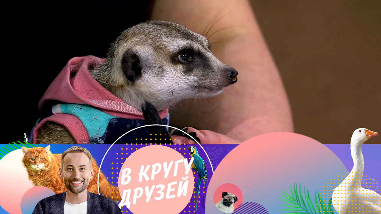 Эфир от 10.08.2024