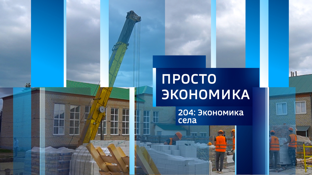 Экономика села