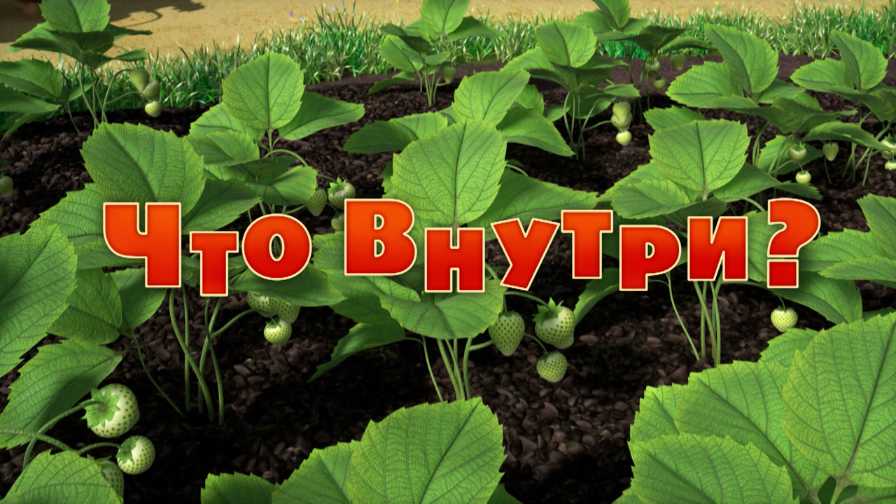 Что внутри?