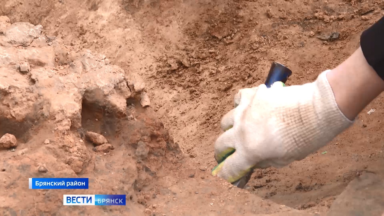 Эфир от 15.08.24 (07:35)
