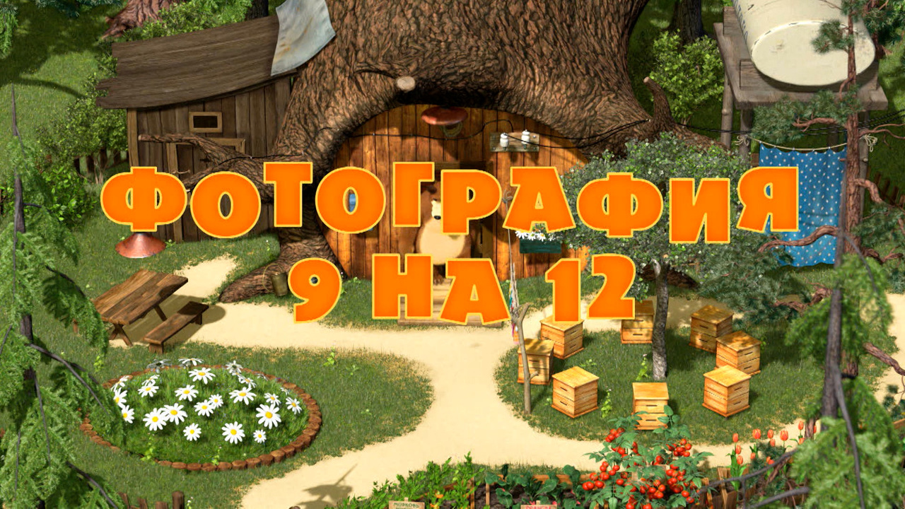 Фотография 9 на 12