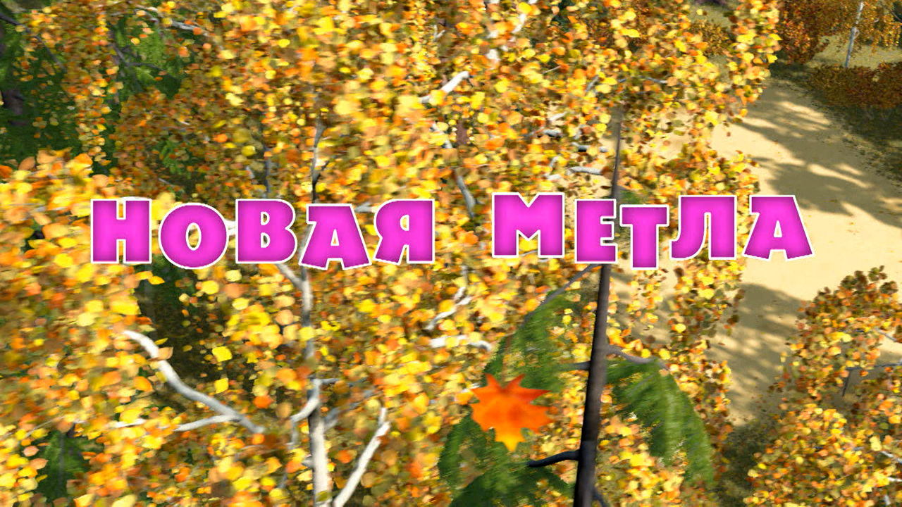 Новая метла