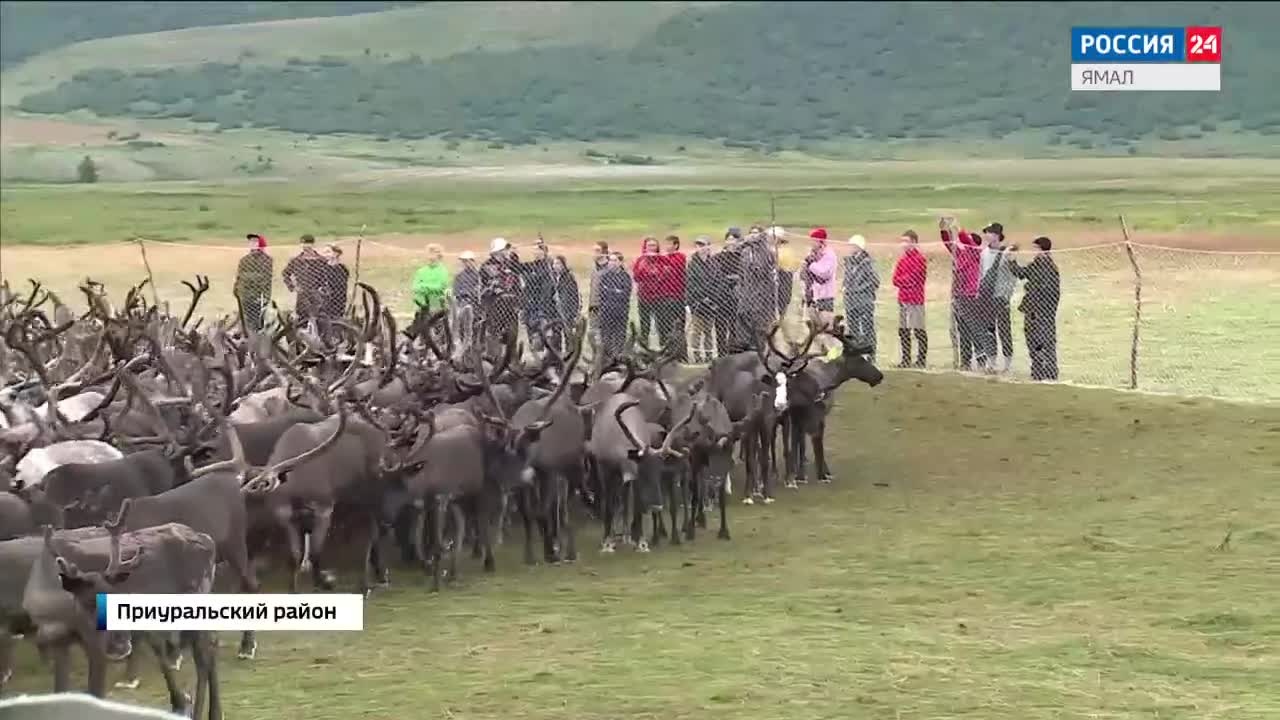 Эфир от 18.08.2024