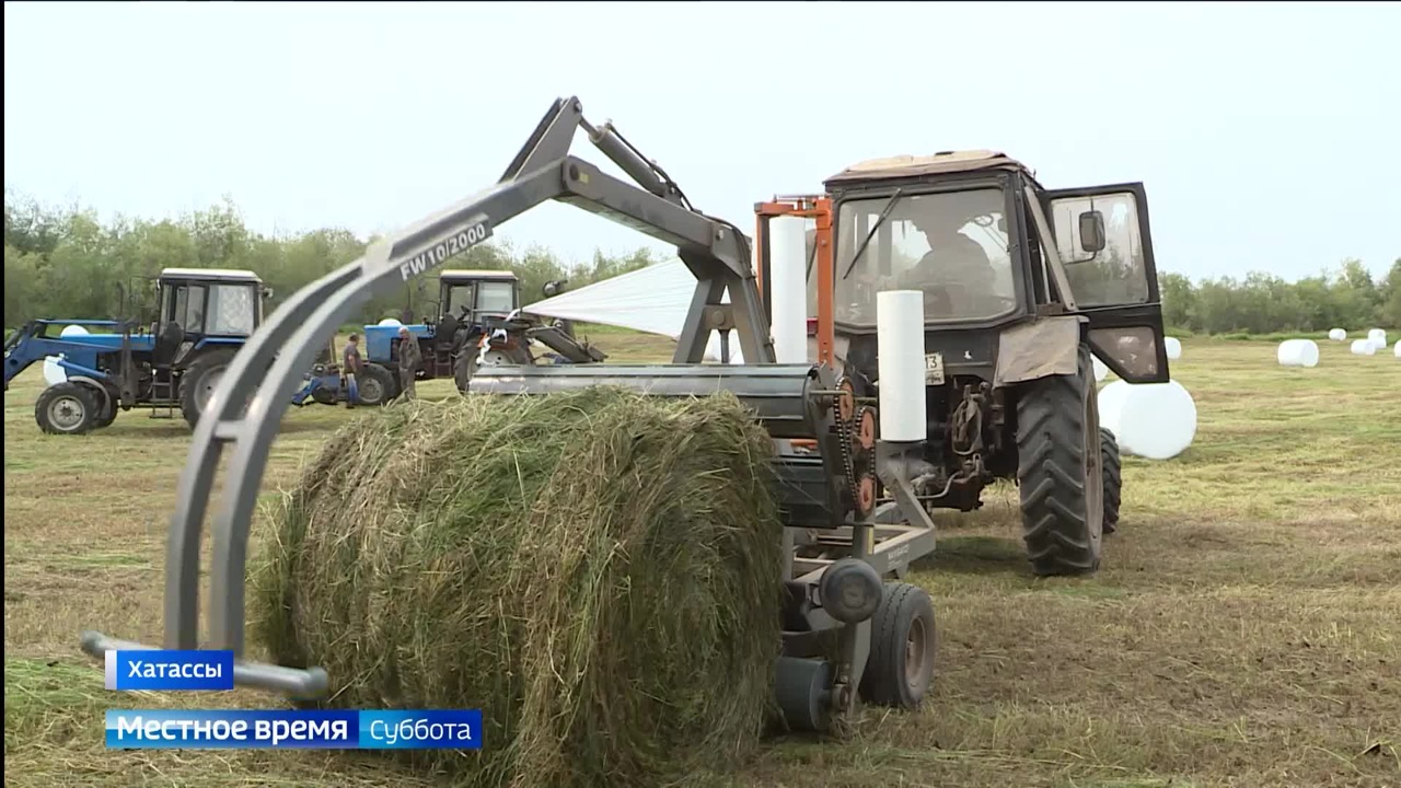 Эфир от 17.08.2024