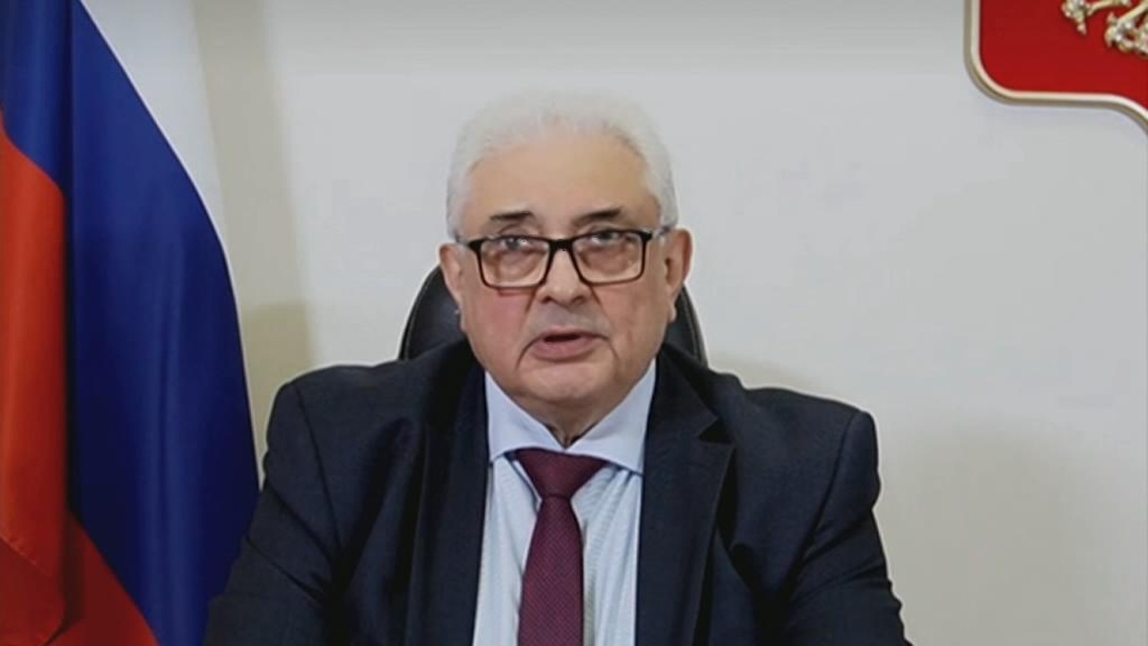 Сергей Нечаев: широкой поддержки населения поставки оружия Киеву в ФРГ не имеют