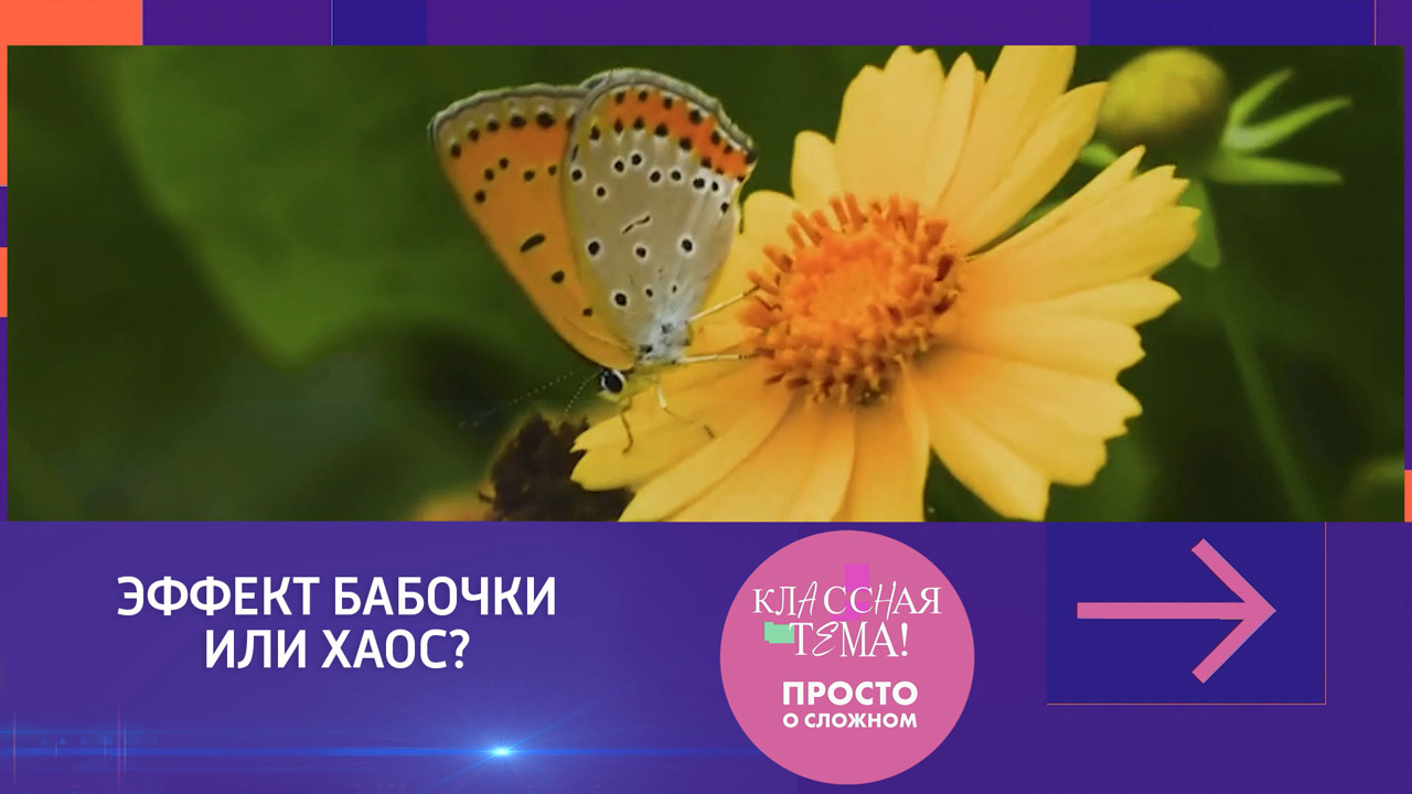 Эффект бабочки или хаос?