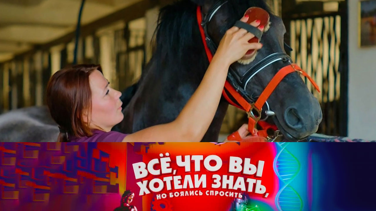Эфир от 30.09.2021