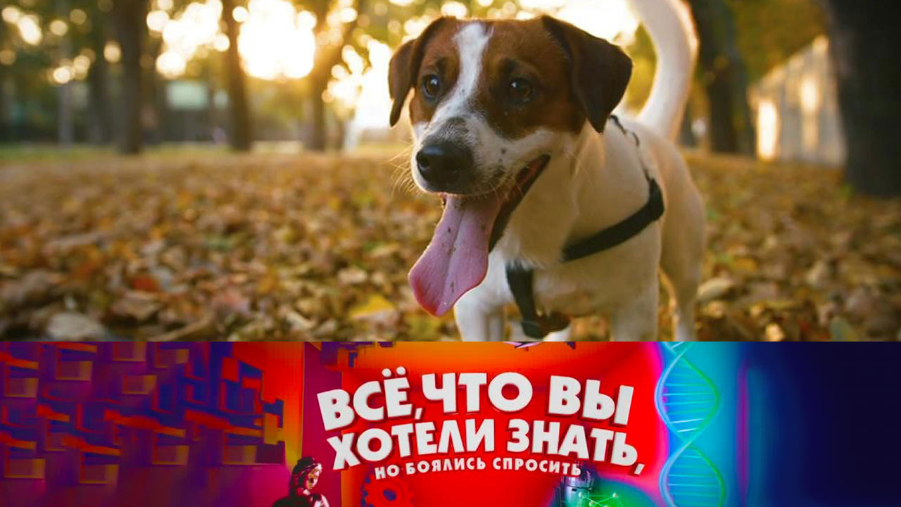 Эфир от 29.04.2021