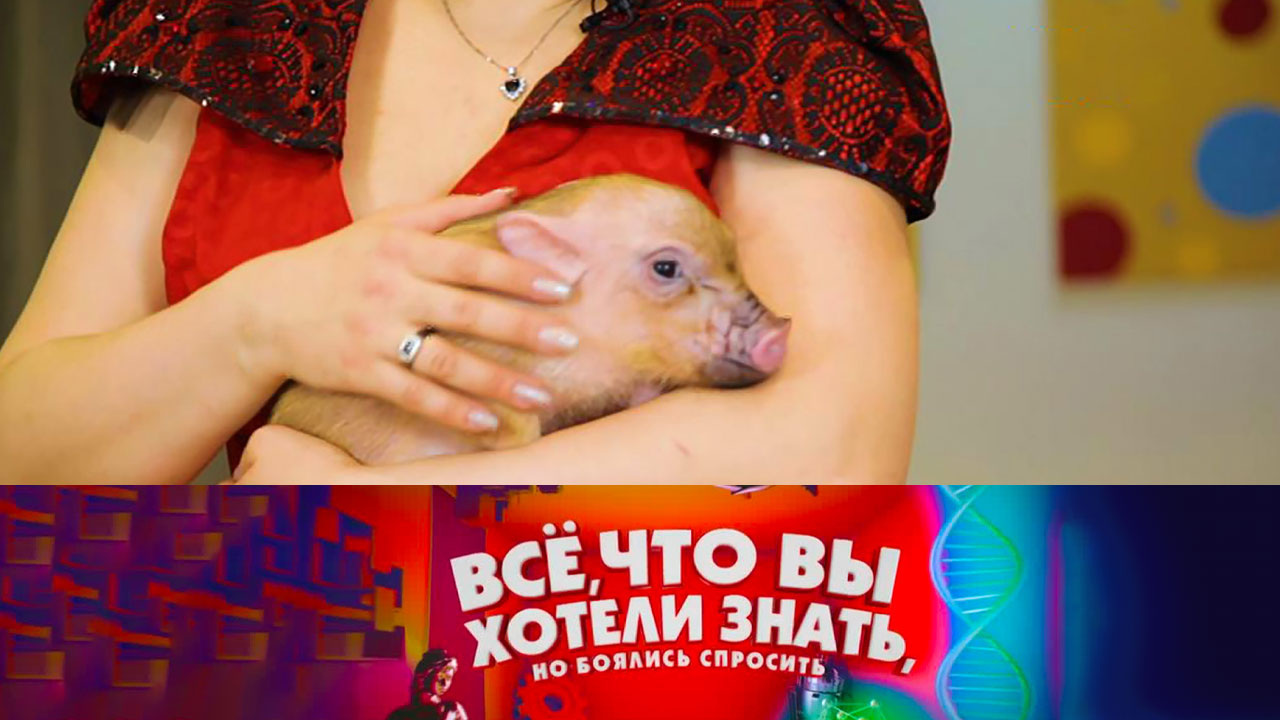 Эфир от 20.05.2021