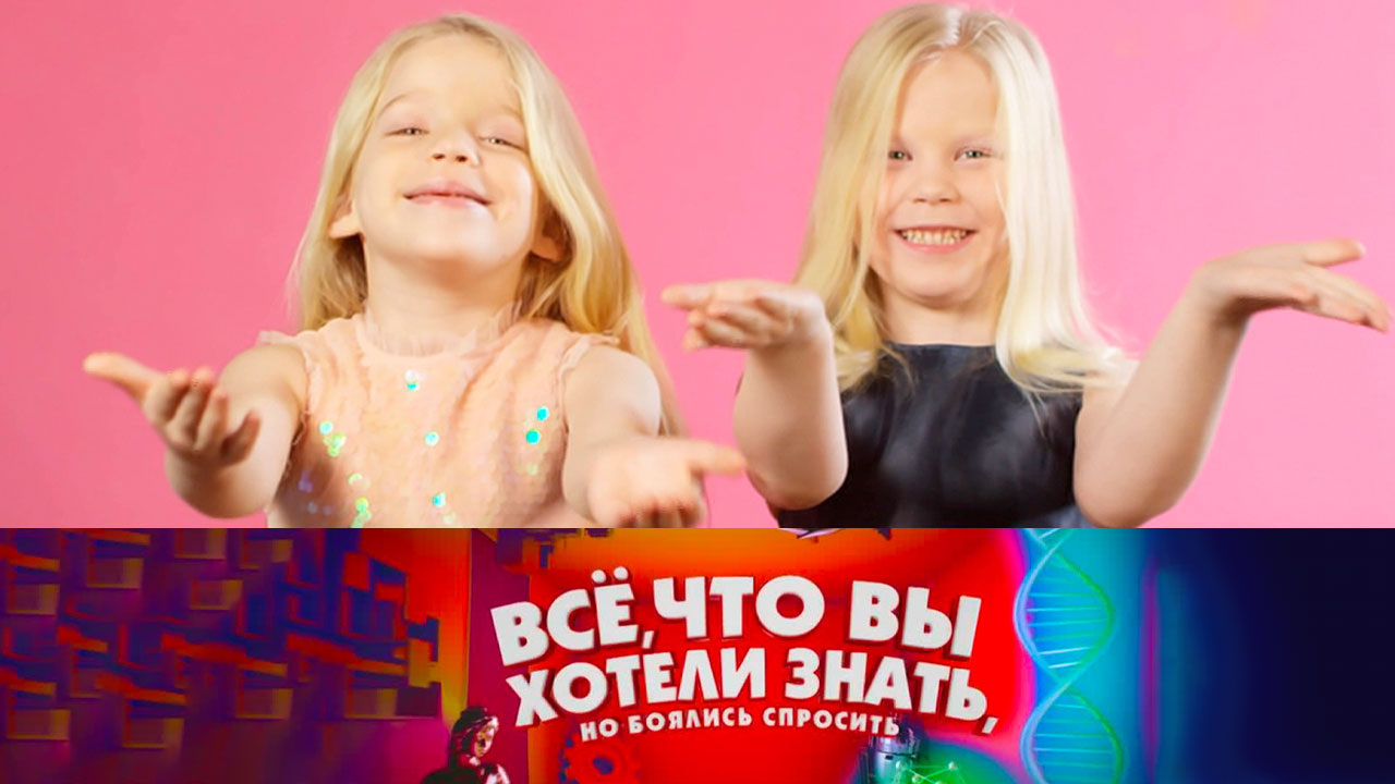 Правда ли что все близнецы одинаковые