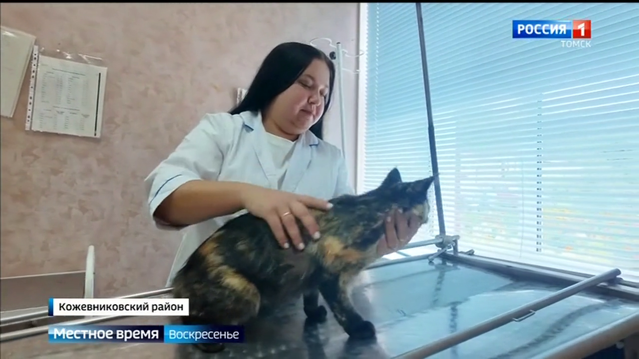 Эфир от 01.09.2024