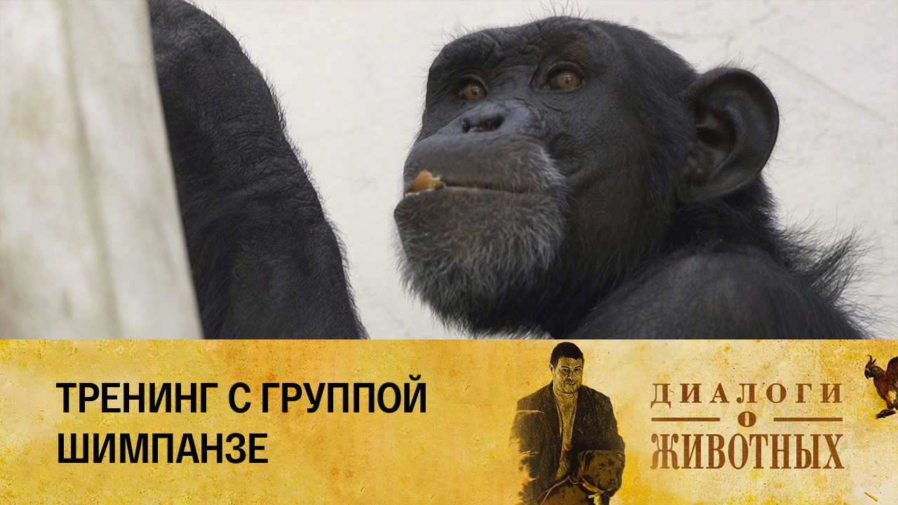 Казанский зооботсад