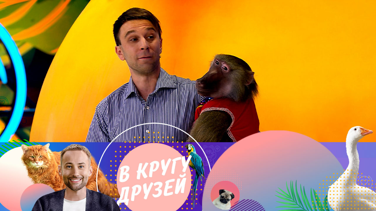 Эфир от 08.09.2024