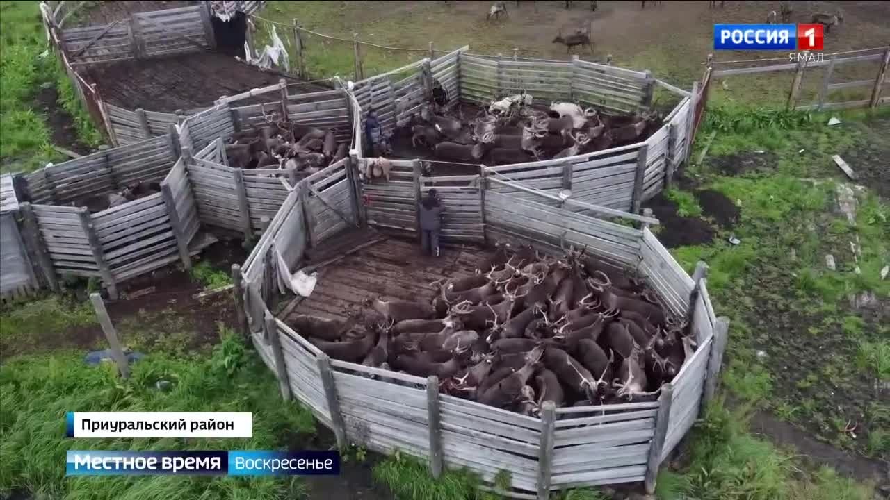 Эфир от 08.09.2024