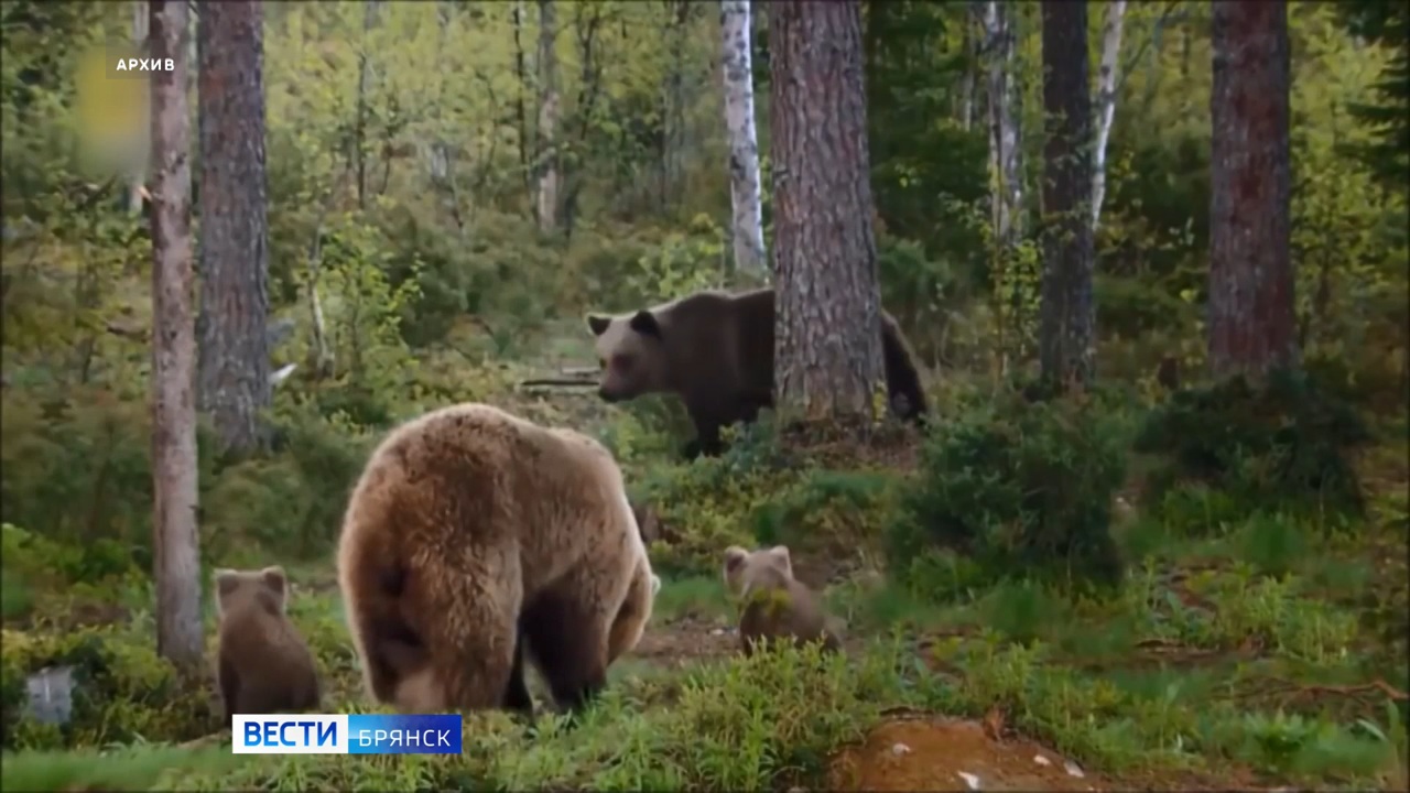 Эфир от 10.09.24 (07:35)