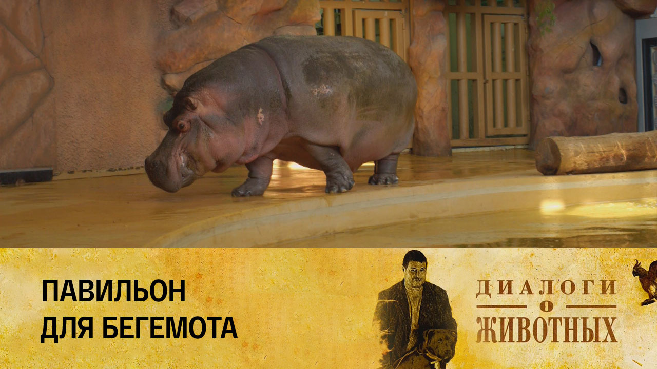 Казанский зооботсад