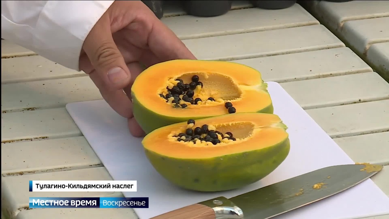 Эфир от 15.09.2024