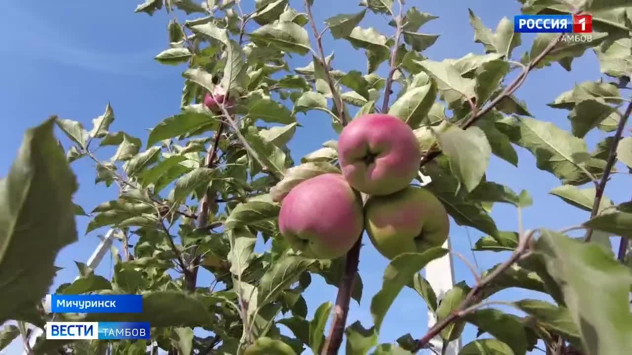Эфир от 16.09.2024