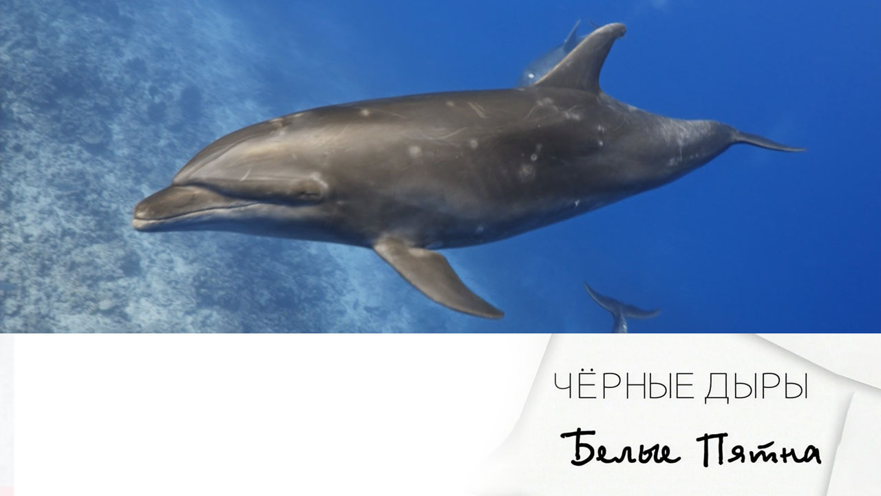 Эфир 21.09.2024