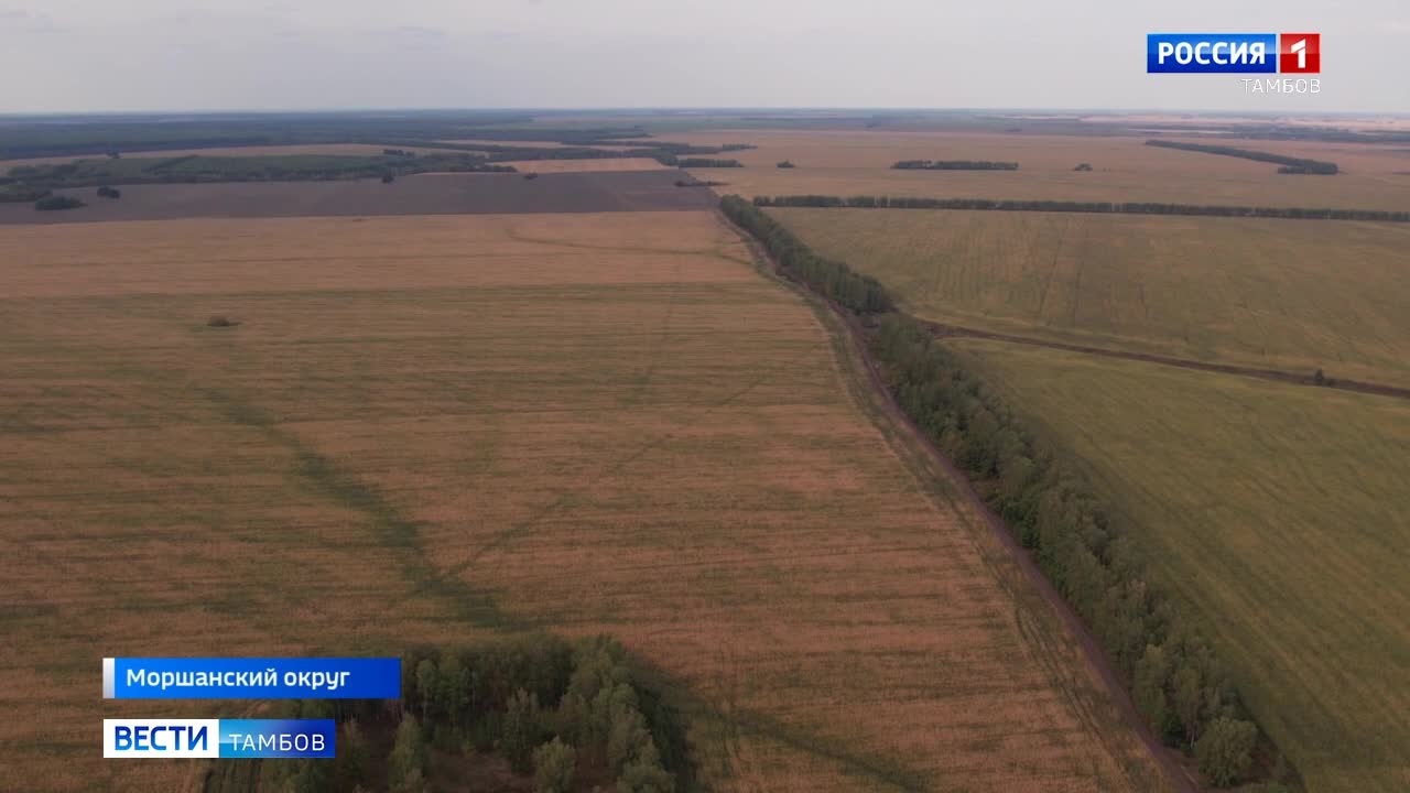 Эфир от 20.09.2024