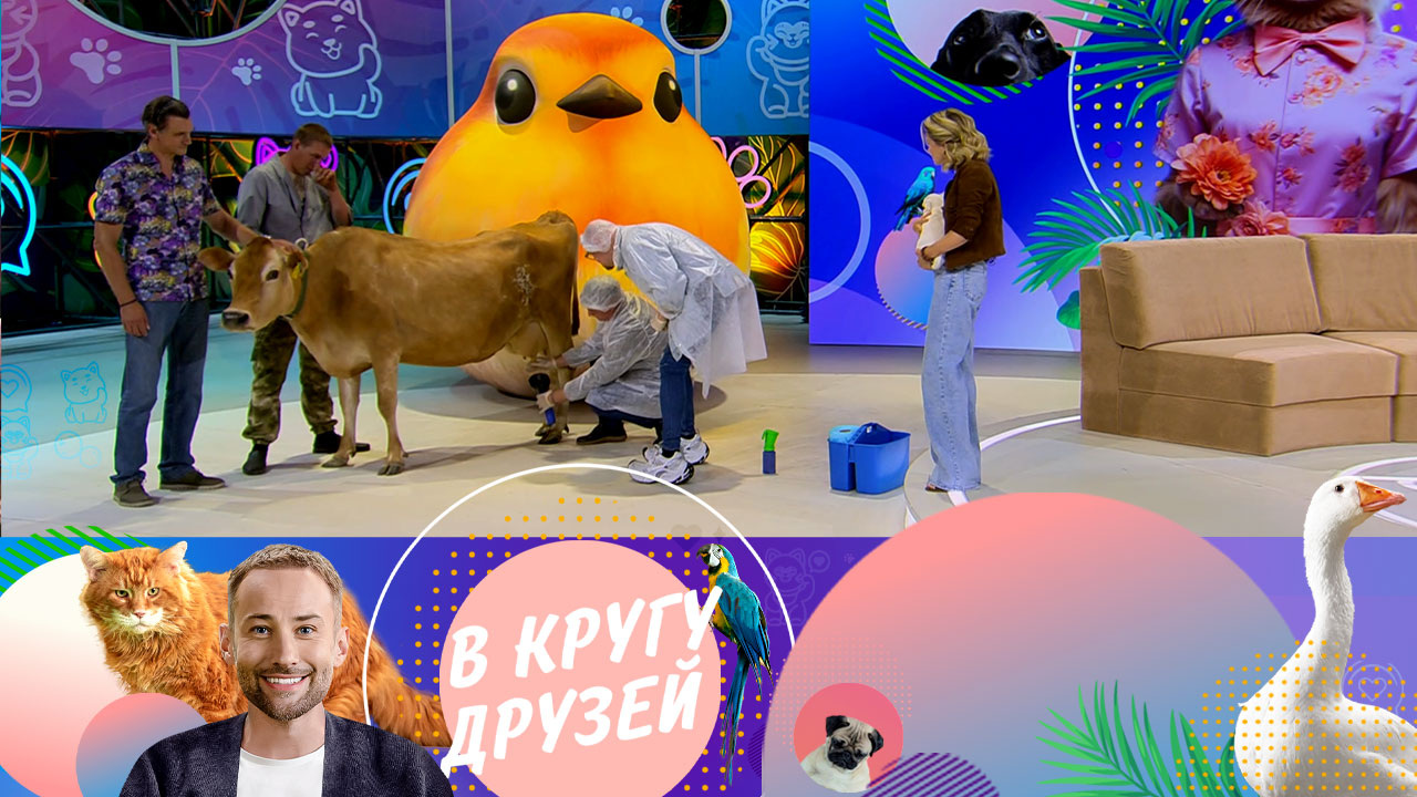 Эфир от 22.09.2024