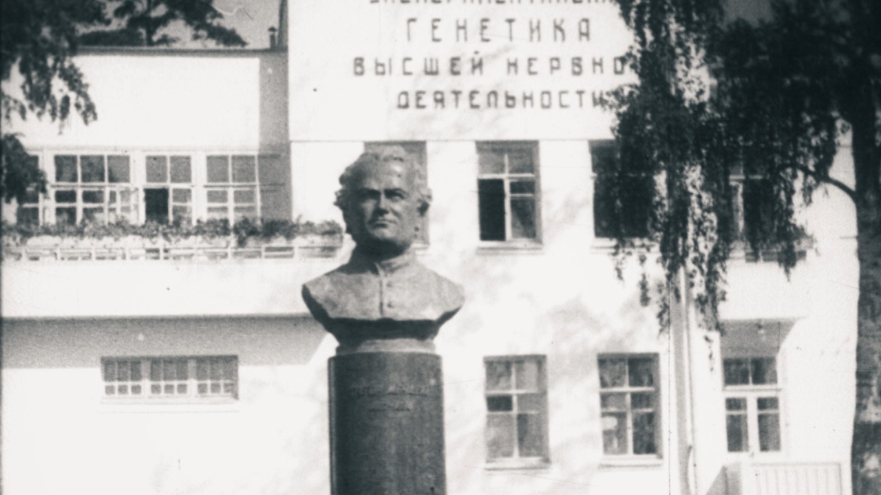 Опыты академика Павлова