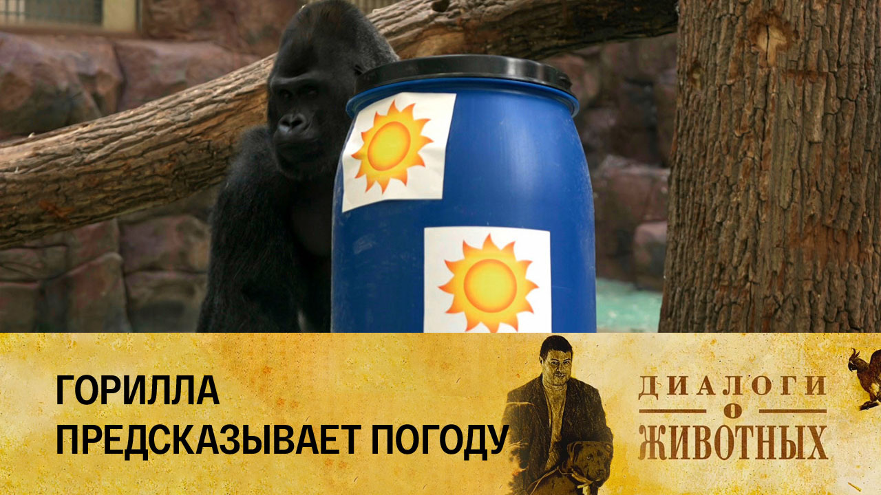 Казанский зооботсад