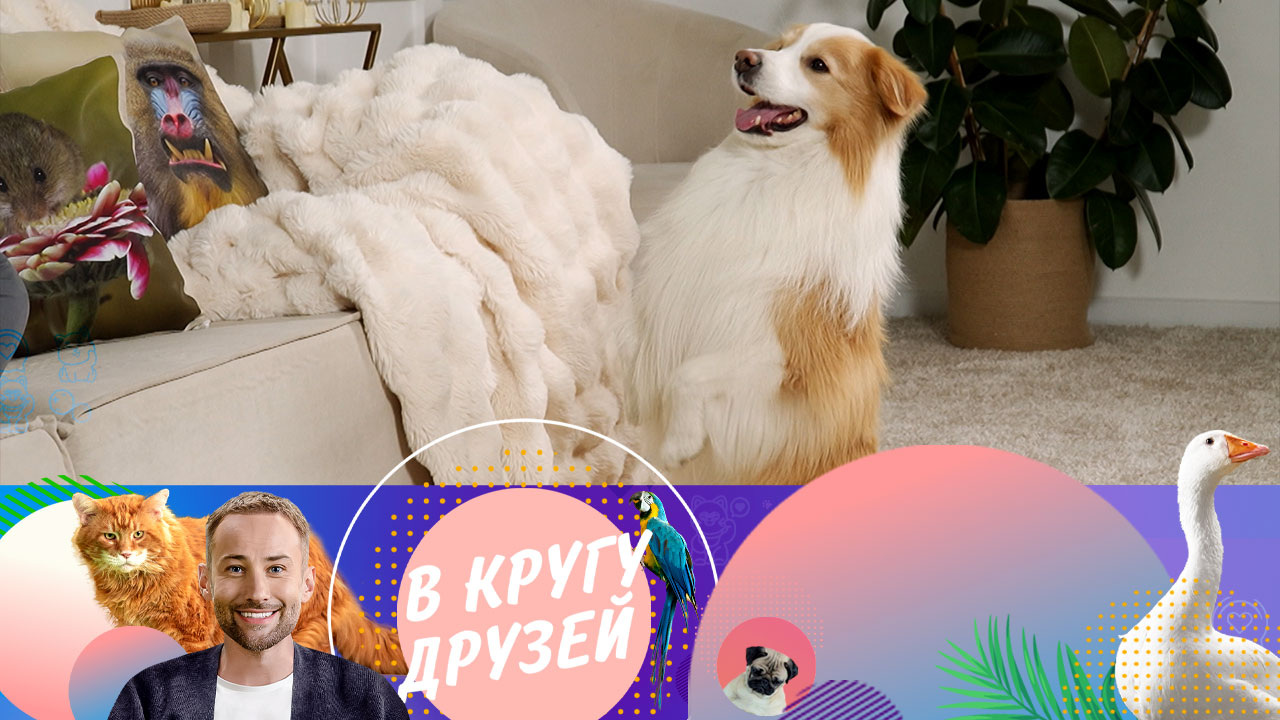 Эфир от 06.10.2024