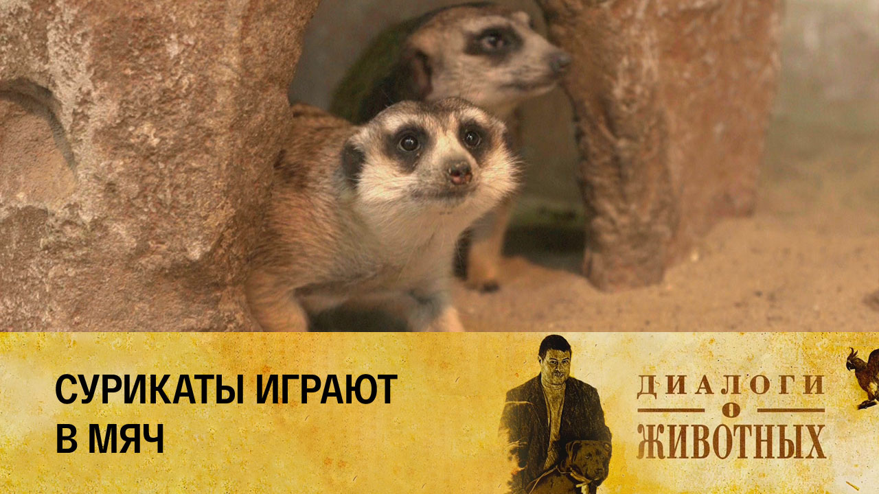 Казанский зооботсад