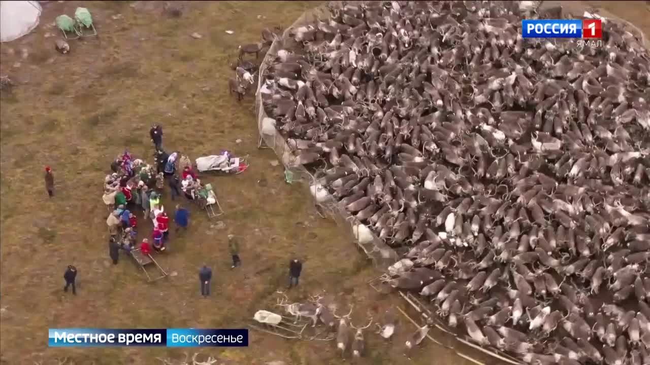 Эфир от 13.10.2024