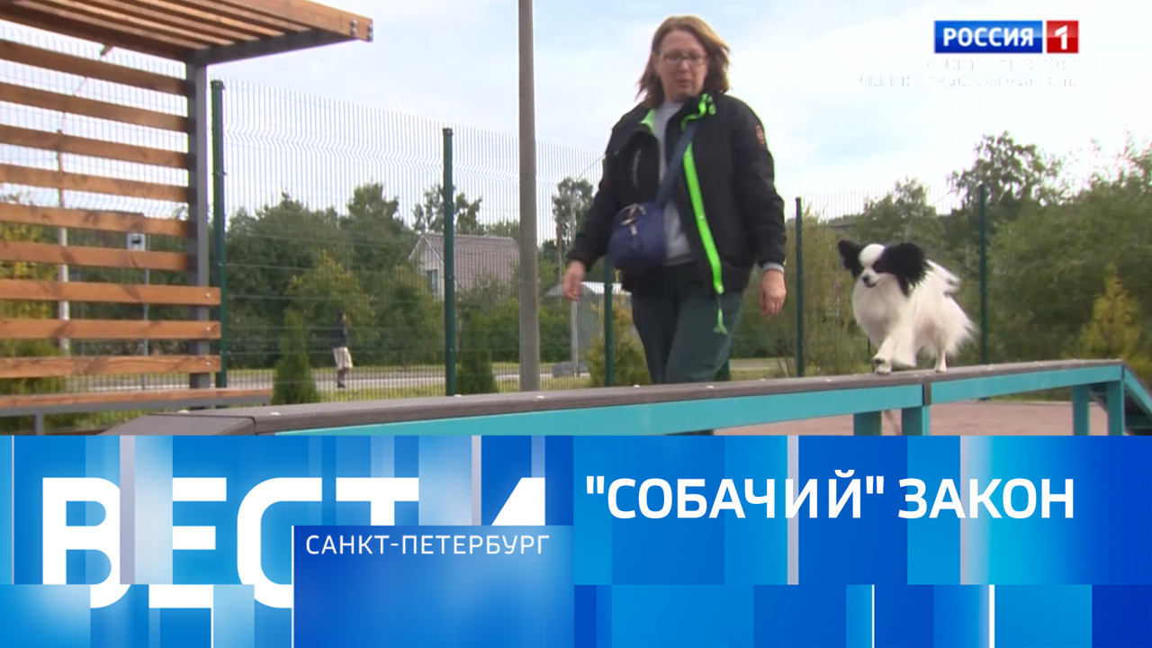 Эфир от 13.10.2024 (14:30)