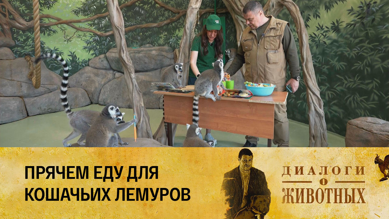 Казанский зооботсад