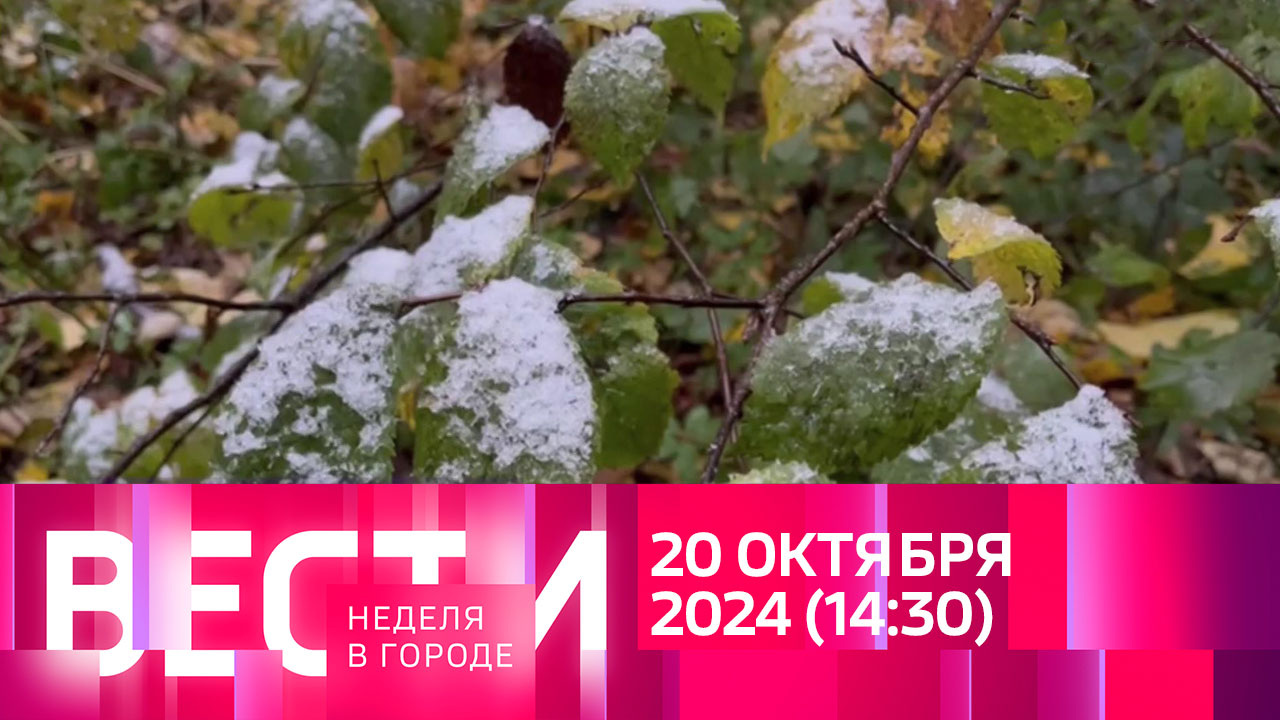 Эфир от 20.10.2024