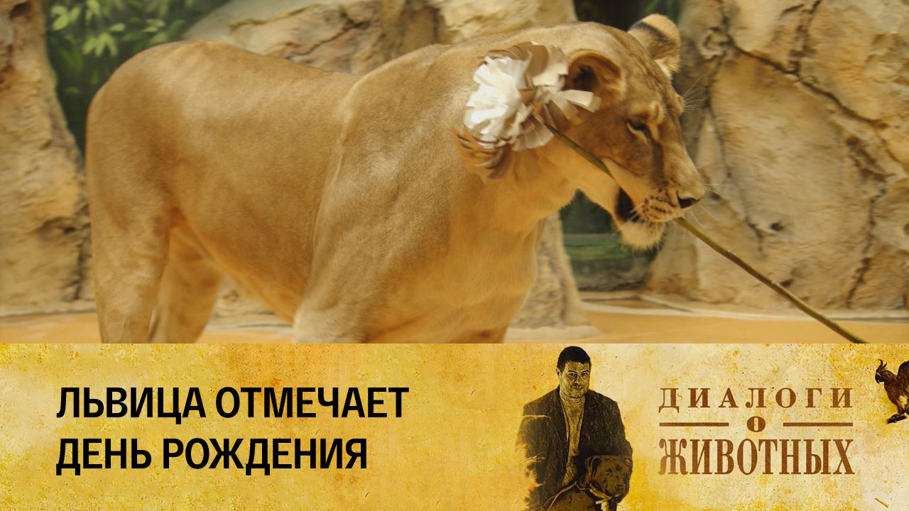 Казанский зооботсад