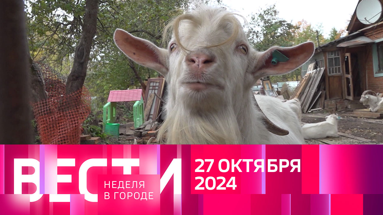 Эфир от 27.10.2024