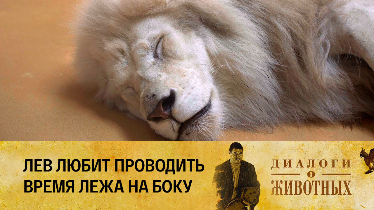 Казанский зооботсад