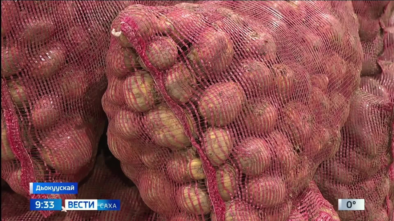 Эфир от 10.10.2024