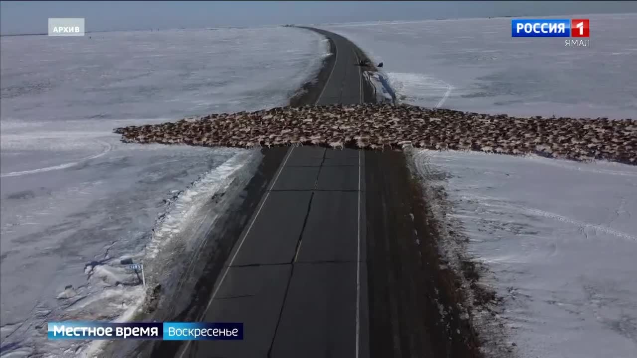 Эфир от 03.11.2024