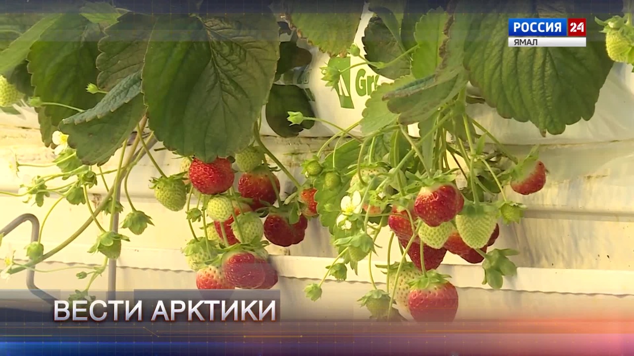 Эфир от 09.11.2024