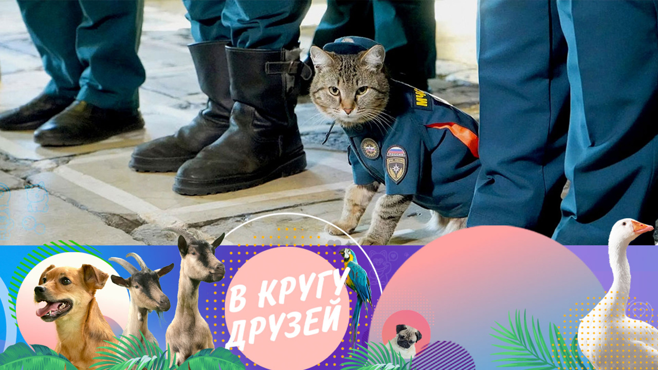Эфир от 03.11.2024