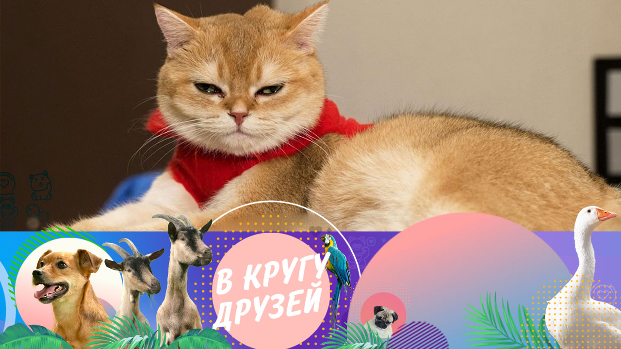 Эфир от 20.10.2024