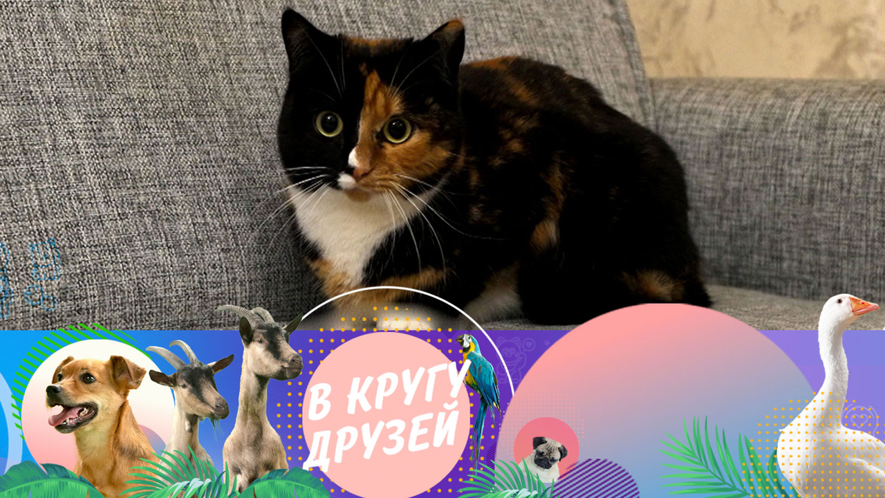 Эфир от 10.11.2024