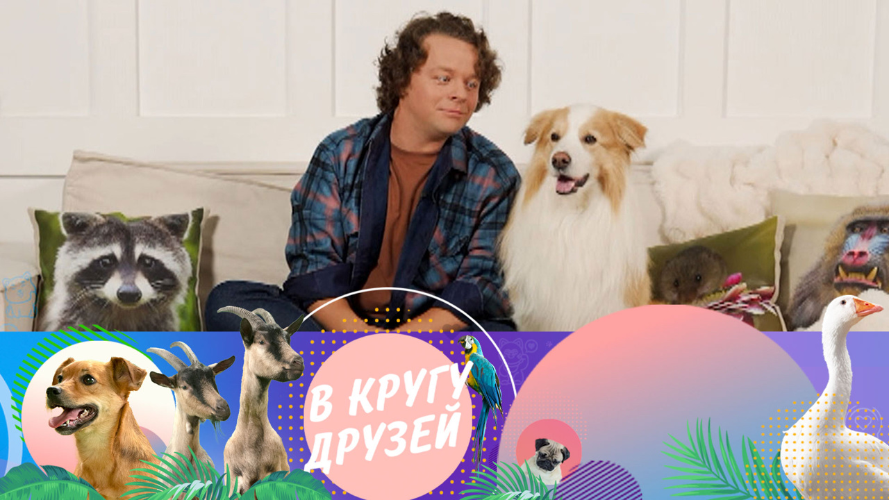 Эфир от 13.10.2024
