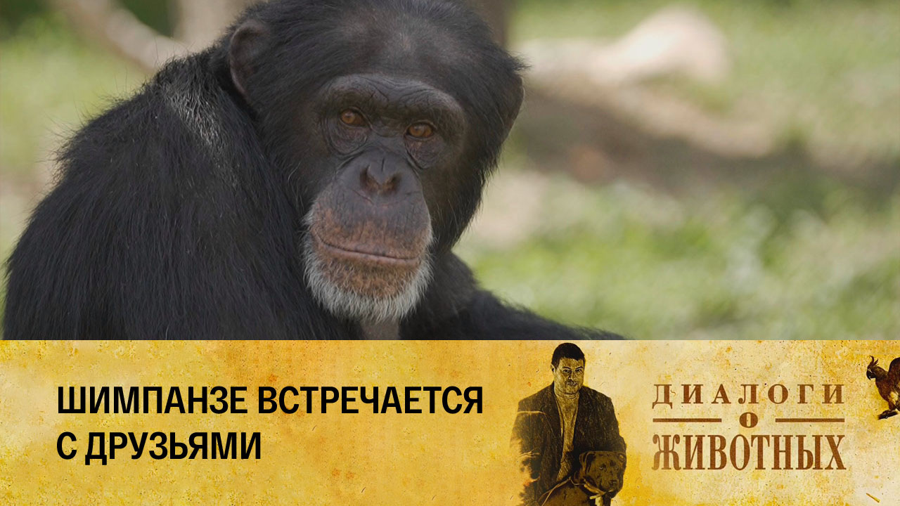 Казанский зооботсад