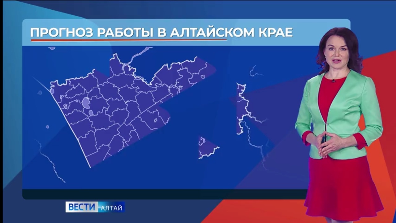 Выпуск от 12.11.2024
