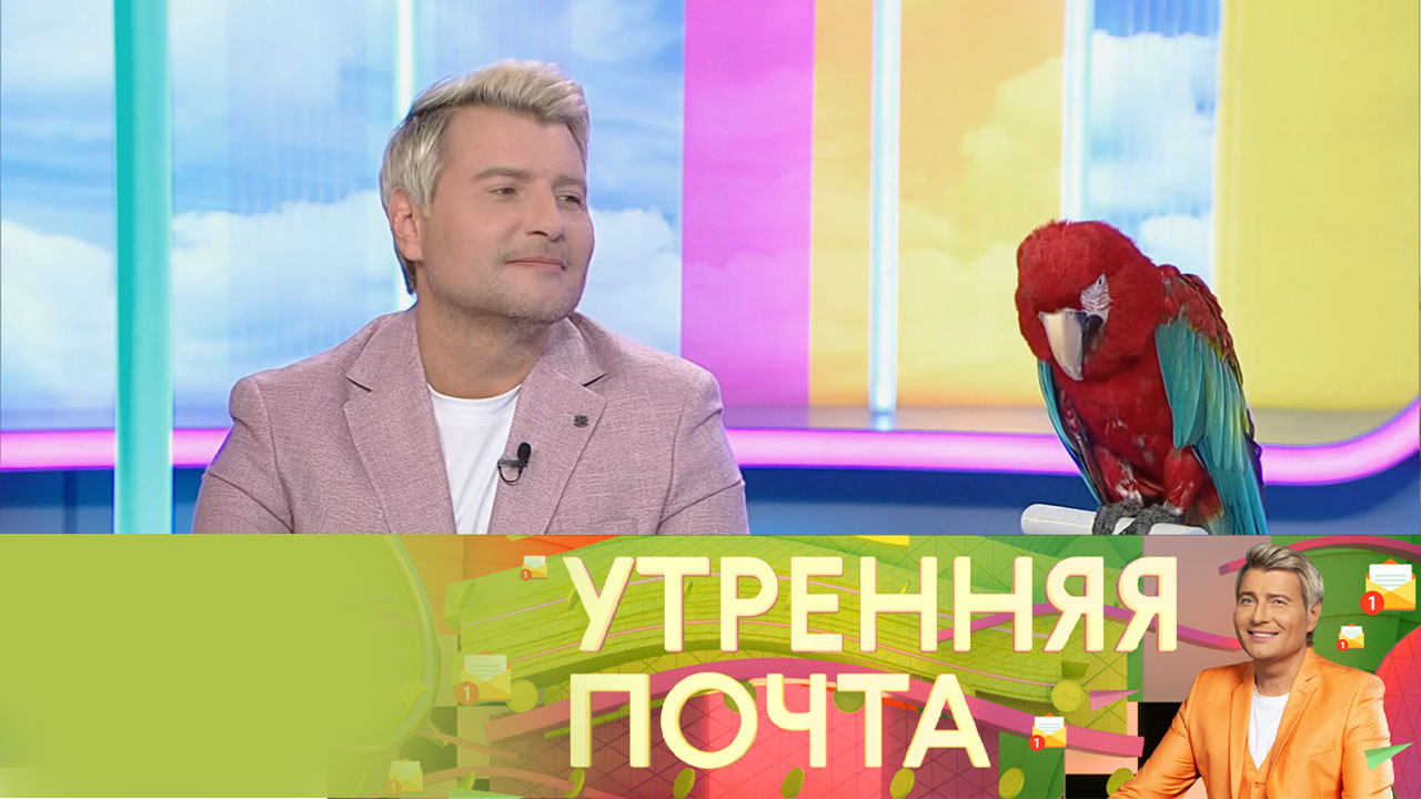 Эфир от 17.11.2024