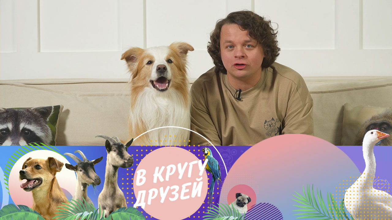 Эфир от 17.11.2014
