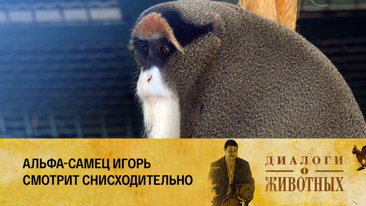 Казанский зооботсад