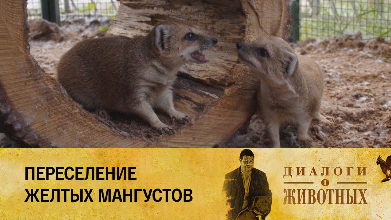 Казанский зооботсад