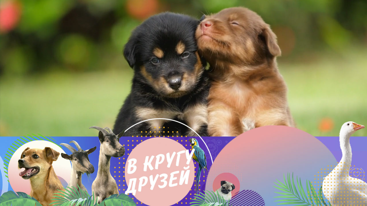 Эфир от 24.11.2024